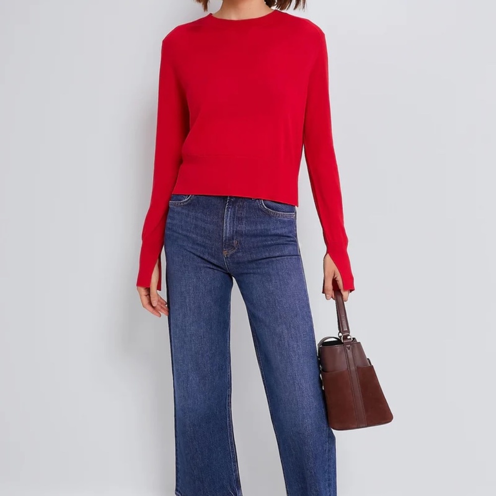 NWT AGolde Ren High Rise Wide Leg Jeans